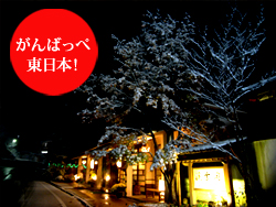 ����΂낤�I���{�`pray for japan