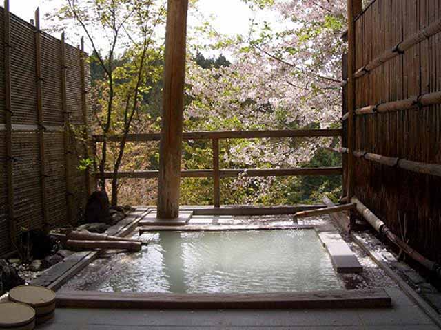 花見露天