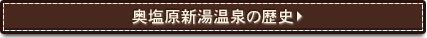 奥塩原新湯温泉の歴史