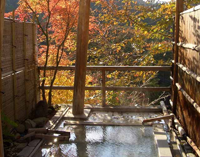 紅葉露天