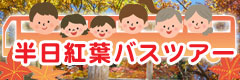 半日紅葉バスツアー